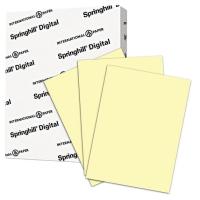 PAPER.11X17,INDEX,110#,YW