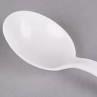 SOUP SPOONS,BIO,HD,WE,1M/CT