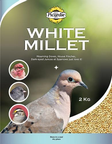 White Millet Bird Seed 2kg