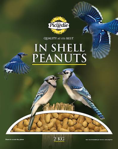 Shelled Peanuts 2kg