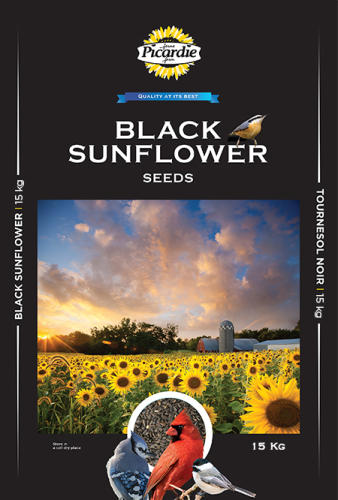 Black Sunflower Seeds 15kg