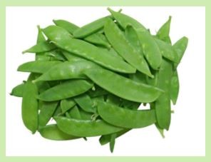 OREGON SUGAR POD (SNOW PEAS)