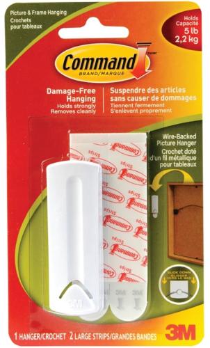 Picture Hanging Hook, 5 lb, Plastic, White