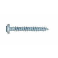 SCREW METAL PH 10X1-1/4" -100