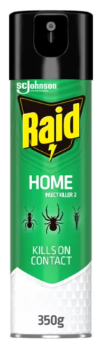 Raid Indoor/Outdoor Home Insect Killer Spray, 350-g