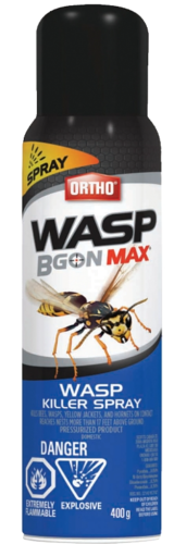 Wasp Killer Spray