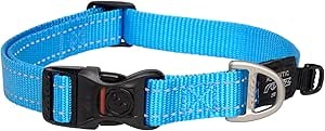 ROGZ Fanbelt Collar Lrg. Turquoise