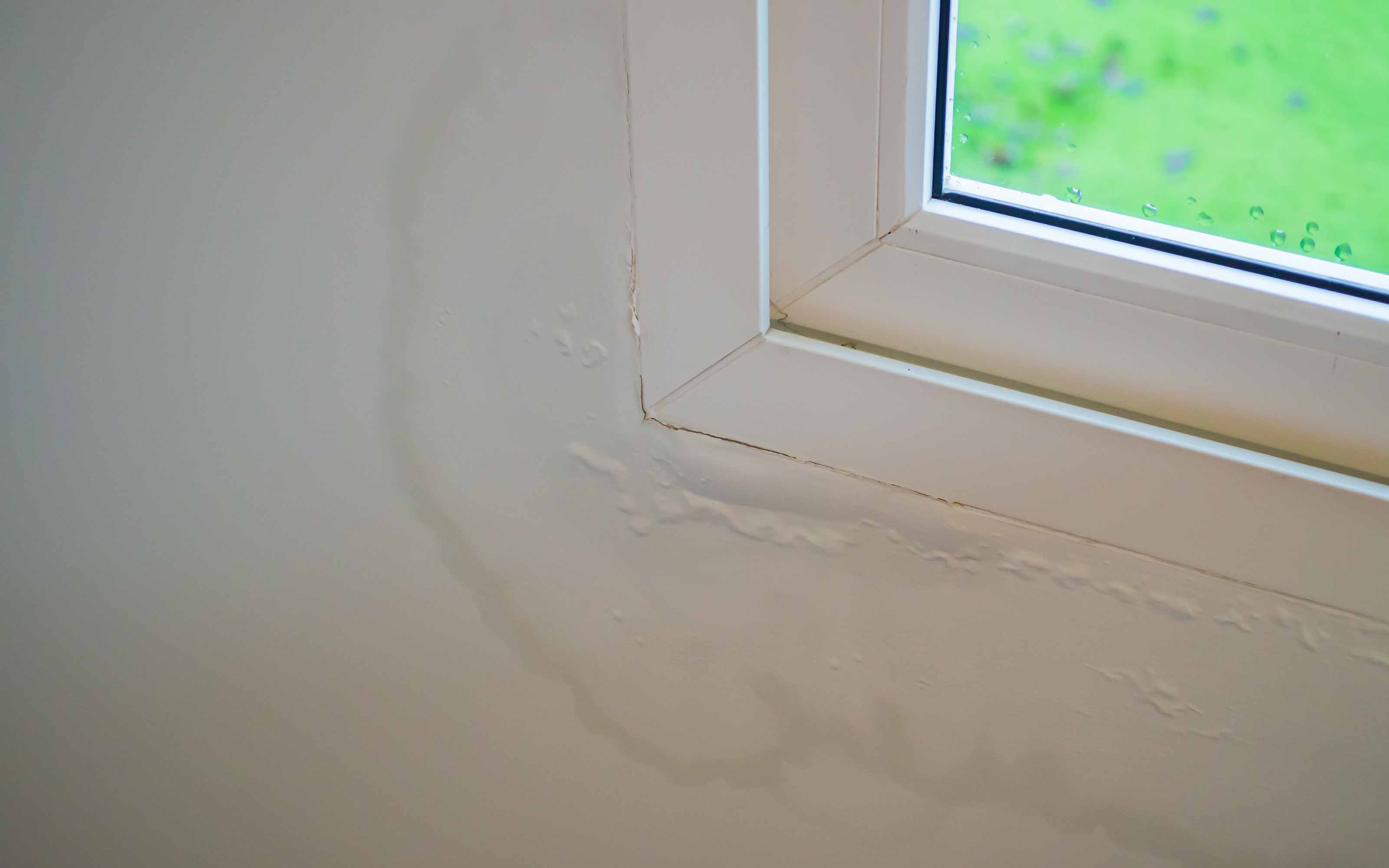 Water damage and bubbling paint around an interior window frame caused by a leaking or failing window seal.