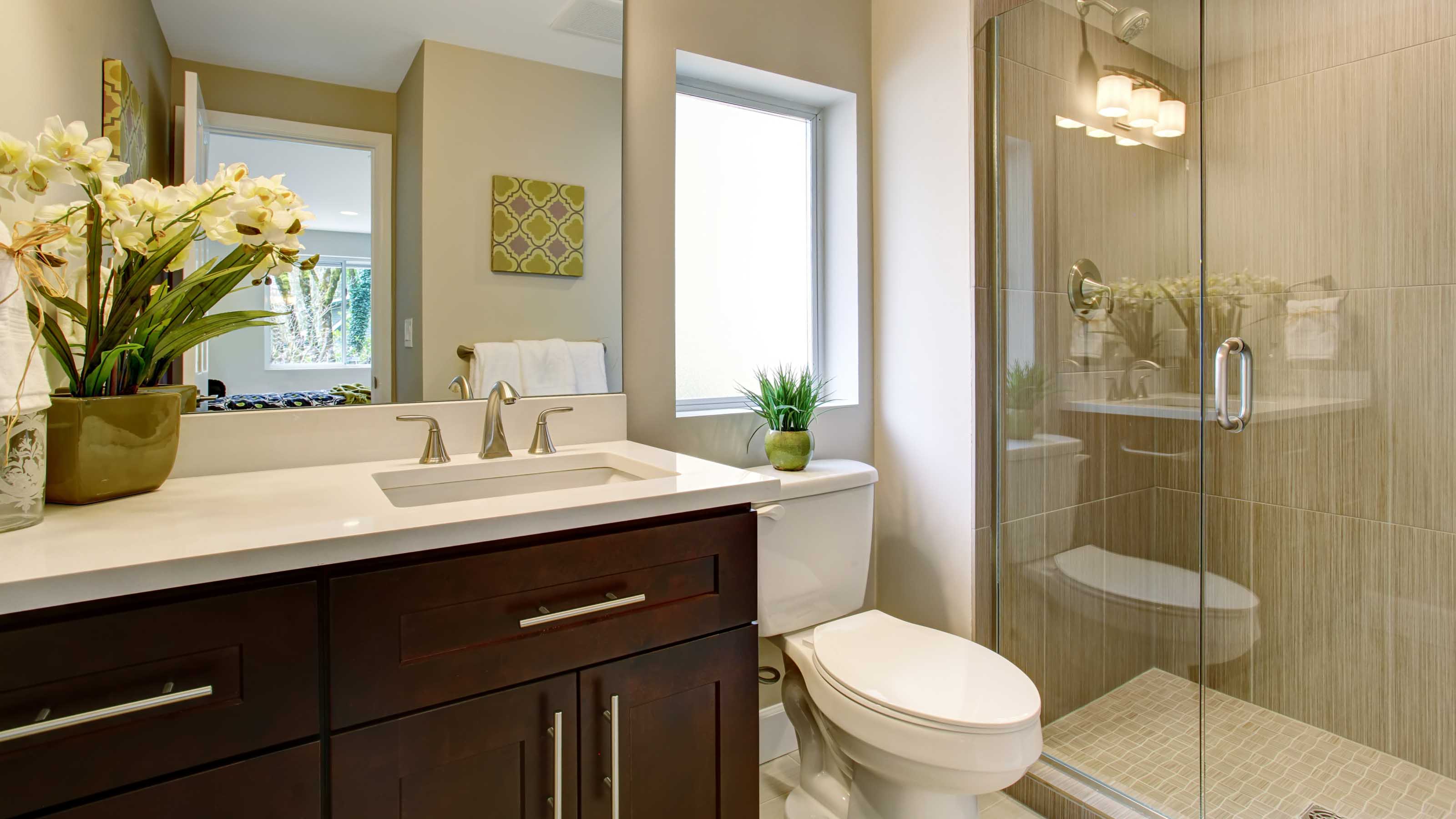 Modern Small Bathroom Modern small bathroom with glass shower, vanity sink, and decorative plants, showcasing a home improvement upgrade.