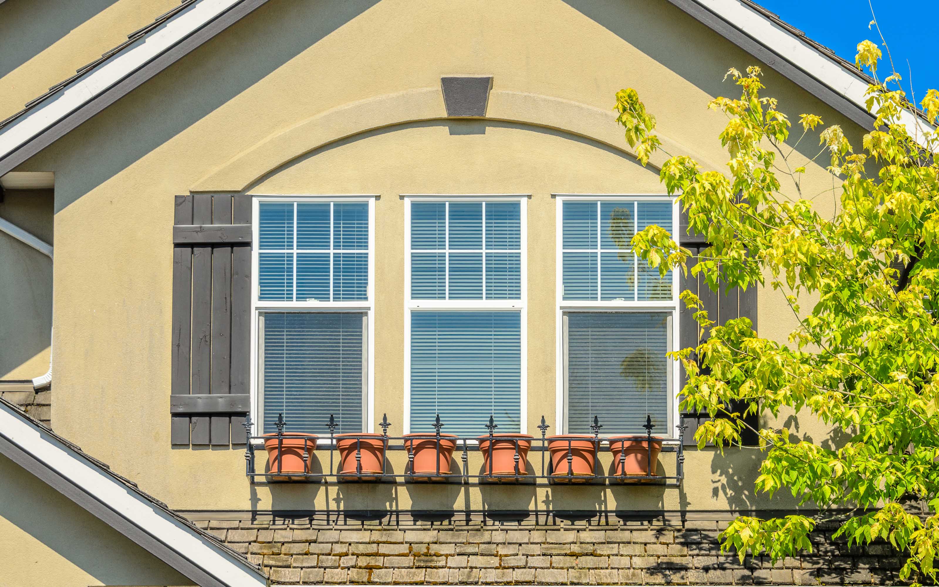 El Paso Window Guide Product Photo