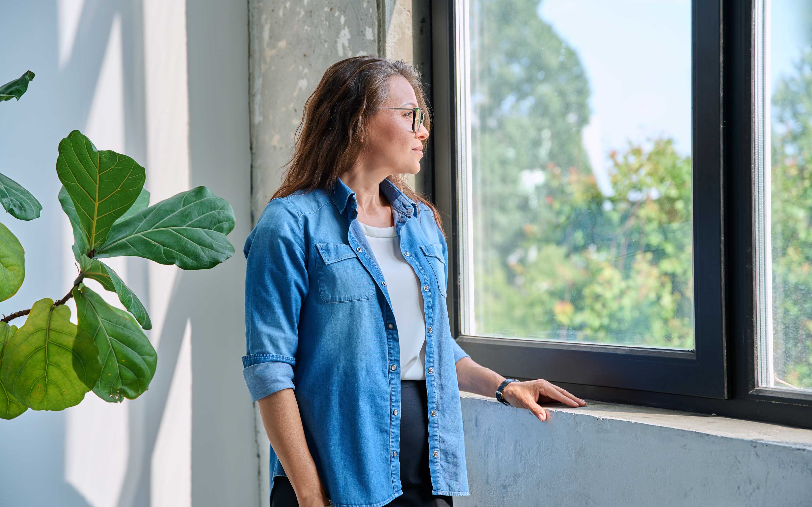 Energy-Efficient Windows Product Photo