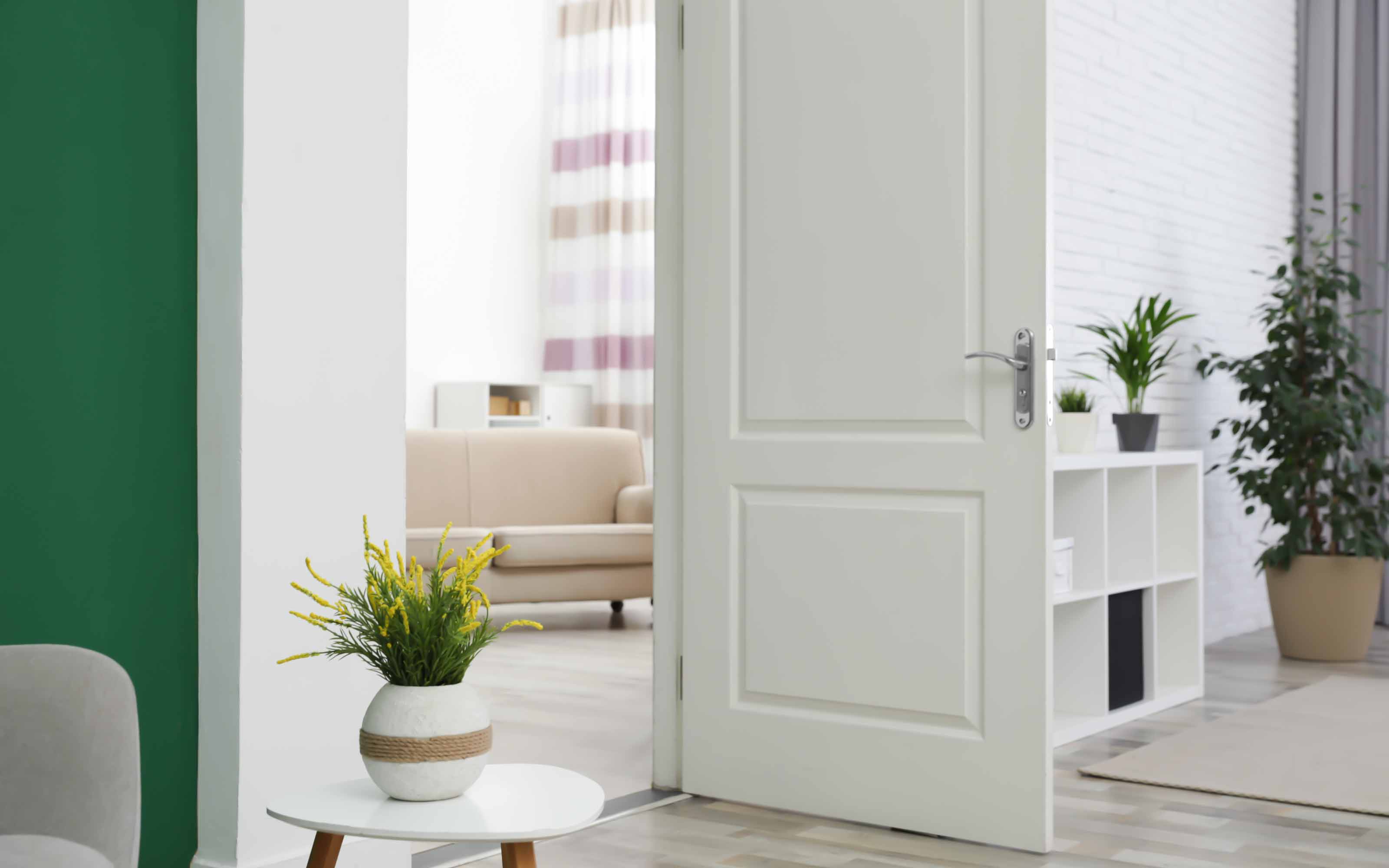 Bright modern interior door opening into a stylish living space with natural light and contemporary home design