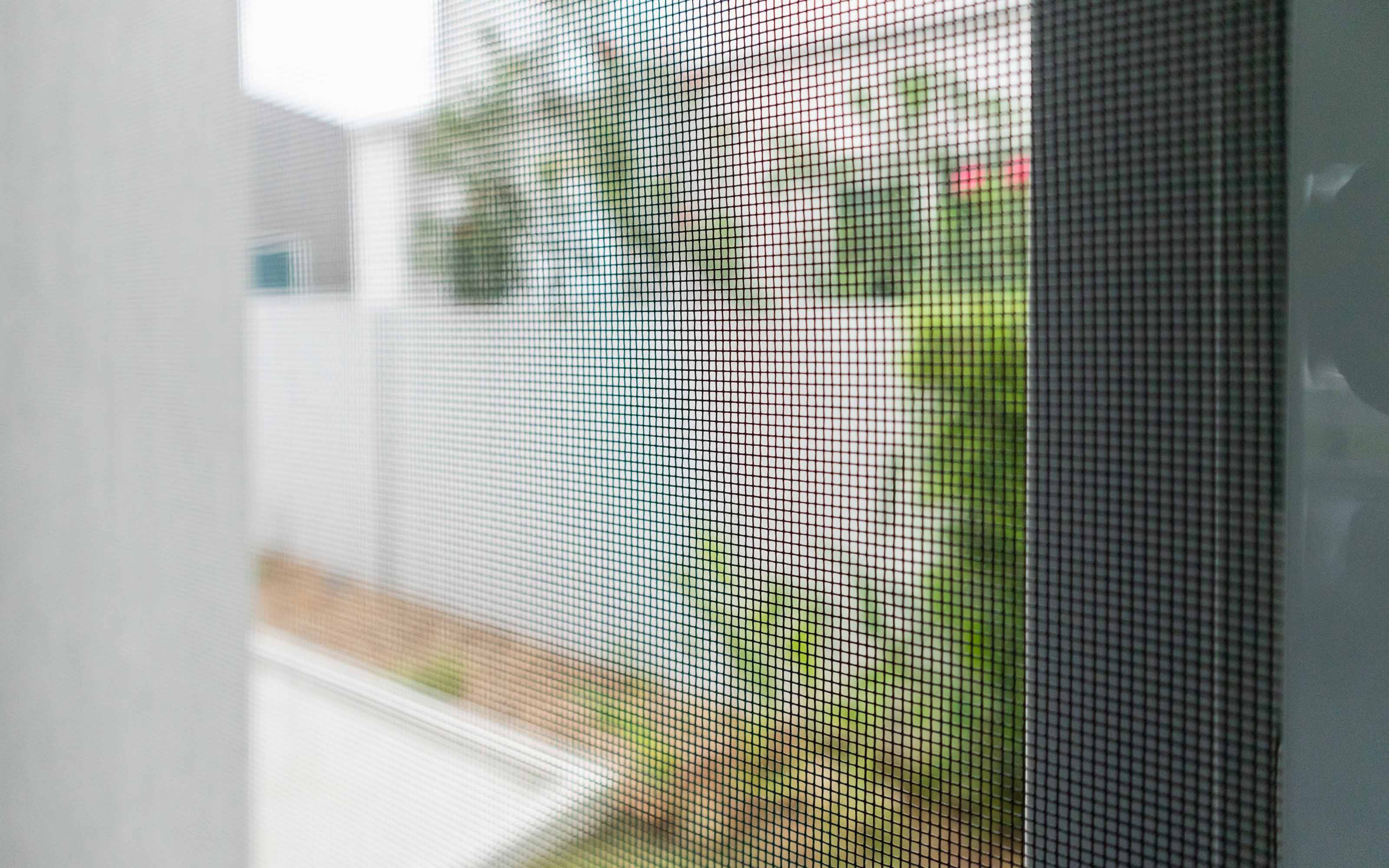 Window screen mesh showing clear outdoor view through a residential window