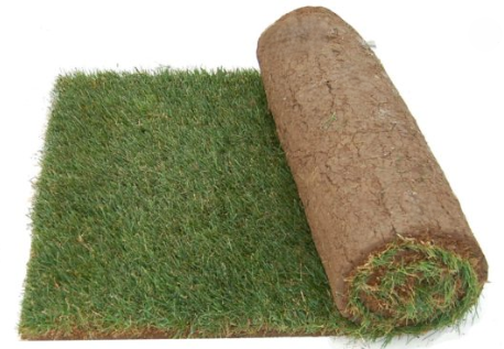RTF (Tall Fescue) 2'x5' Sod (10sq ft/roll  500sq ft/pallet)