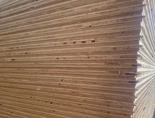 3/4" T&G UL Plywood CCX 4'x8'