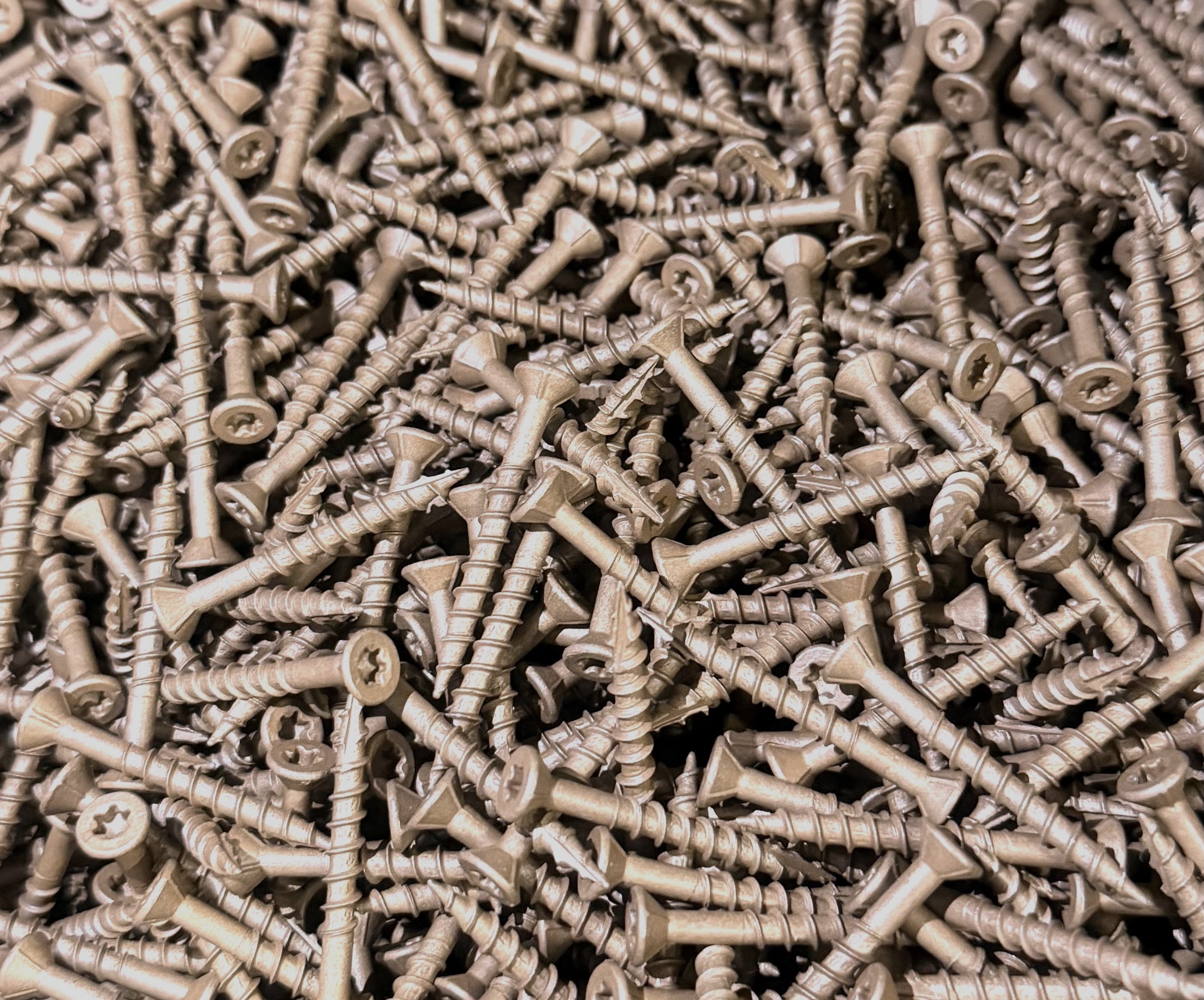 Prime Guard Screws (Exterior)