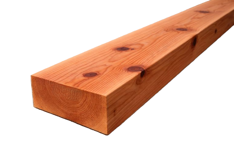 Cedar