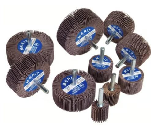 TEST KIT FLAP WHEELS 1/4 SH