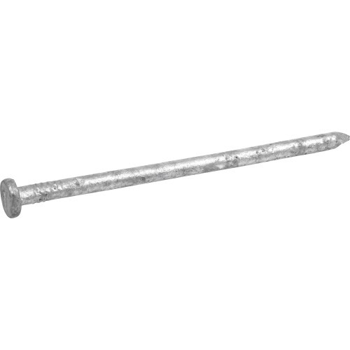 5LB SPIKE HD GALV 10 3/8DIA