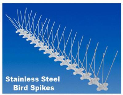 5"X6' SS BIRD SPIKE