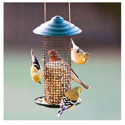AUDUBON MINI SUNFLOWER BIRD