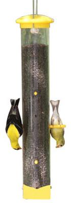 AUDUBON 17-1/4" TAILS UP NYJER