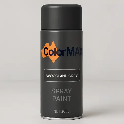 CMWPaint