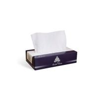 Affex - Facial Tissue - soft two ply paper - gentle on skin - flat box dispenser format - bright white sheets - 100 per box