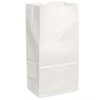 Duro Bag - White Paper Bags - clean presentation carryout bags - durable paper construction - fits small food and retail items - 500 per carton
