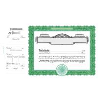 Goes - Certificate Paper - solid green stock paper - heavy weight printing sheets - suitable for awards and programs - 100 sheets per pack