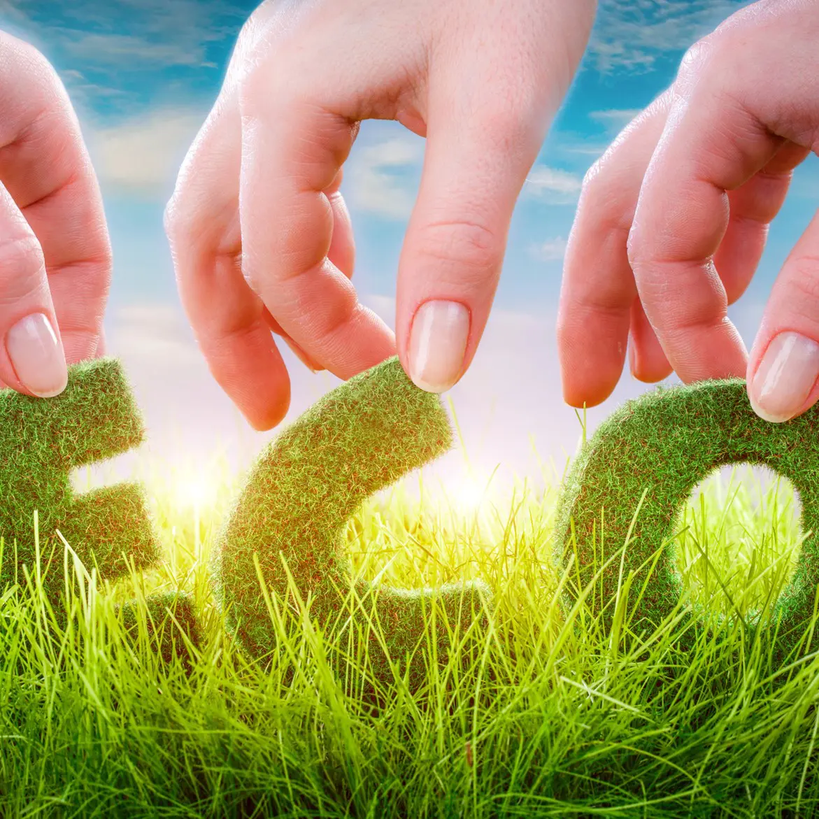 Sustainable Choices