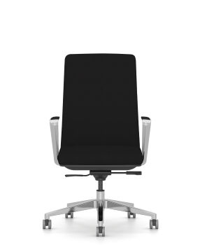 CE2 Std Back Polished Frame