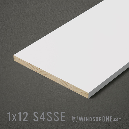 1X12 WindsorONE PROTECTED