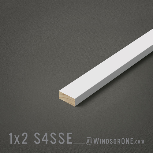 1X2 PRIMED WindsorONE