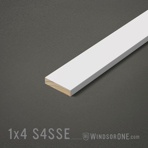 1X4 WindsorONE PROTECTED