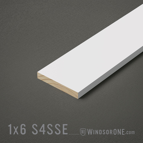 1X6 WindsorONE PROTECTED