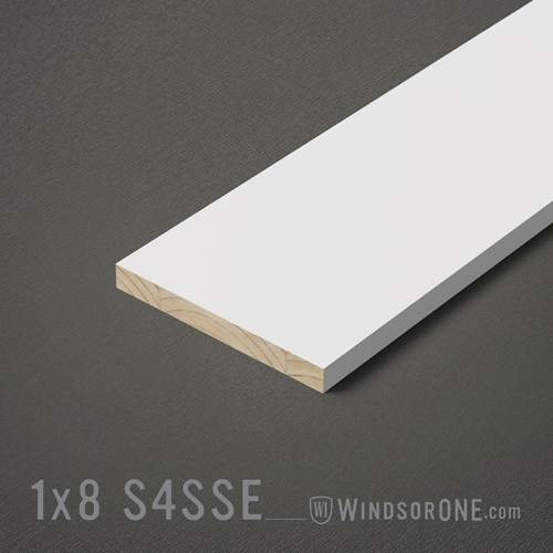 1X8 WindsorONE PROTECTED