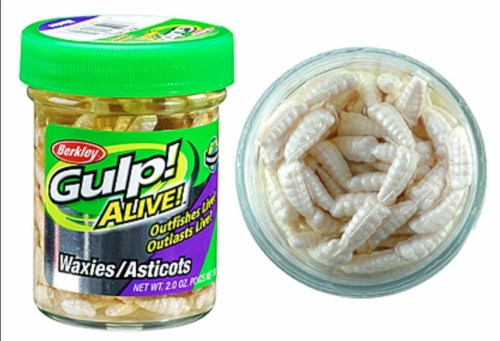 Gulp Alive Scented Waxies White 2oz
