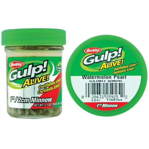 Gulp Alive Scented Minnow Watermelon PRL 1"
