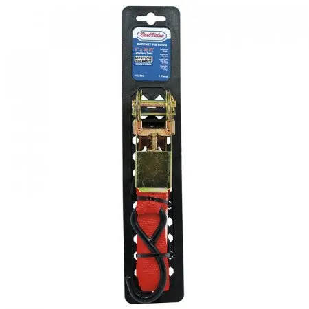  Ratchet Tie Down 1" x 10' 