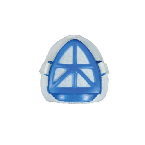 Dust Mask Blue Frame