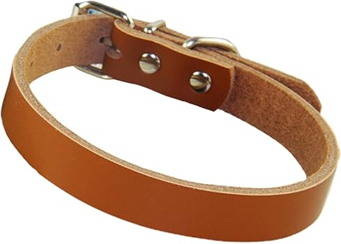 Dog Collar 1 1/2"x24" Leather