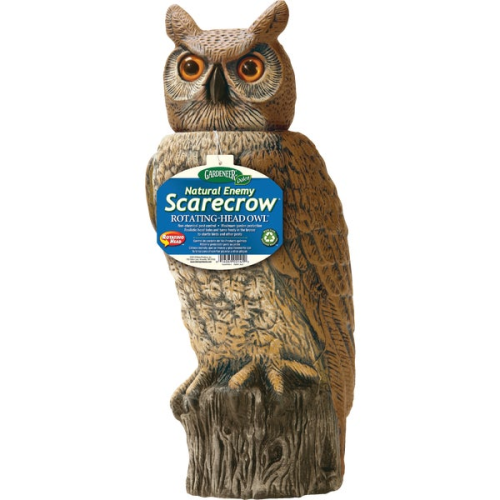 18" Owl with Rotating Head