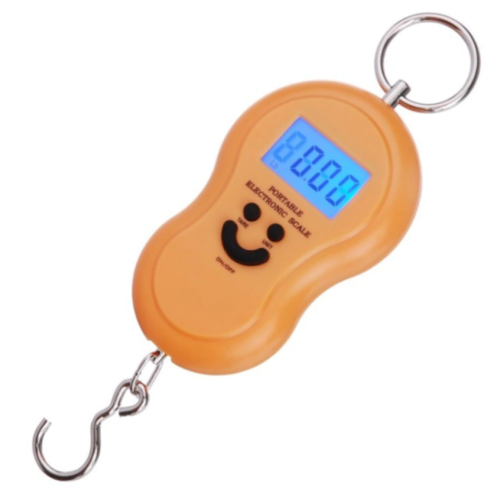 Scale Electronic 50kg/110lbs