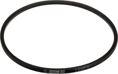 Belt V B43