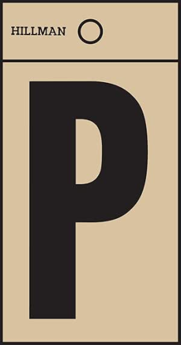 Letter (P) B/G Square Cut 2"