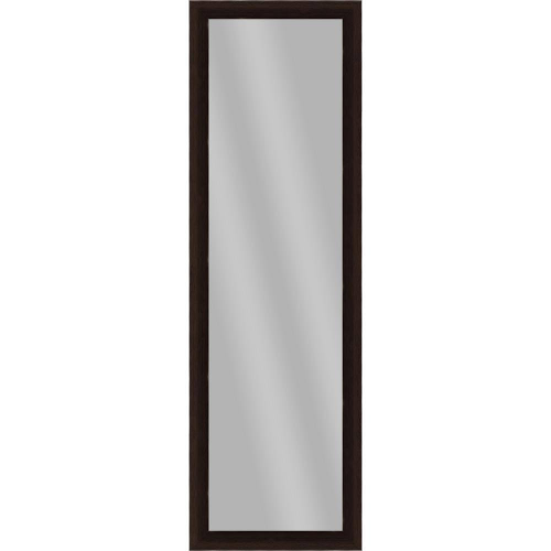 Door Mirror