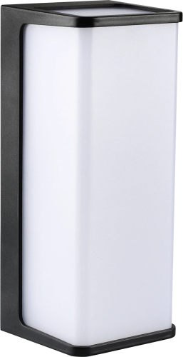 Outdoor LED Wall Lamp Black