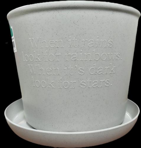 Flower Pot w/Plate