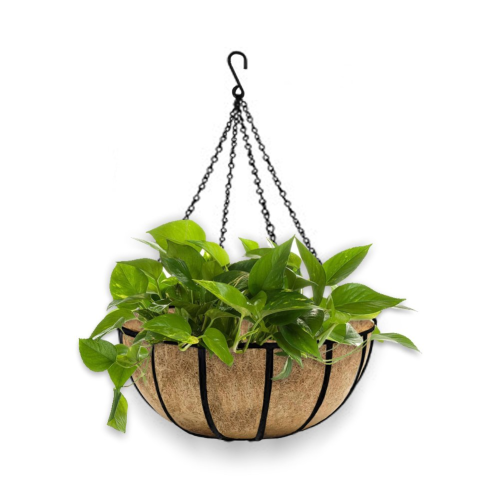 Hanging Layer Basket 12"